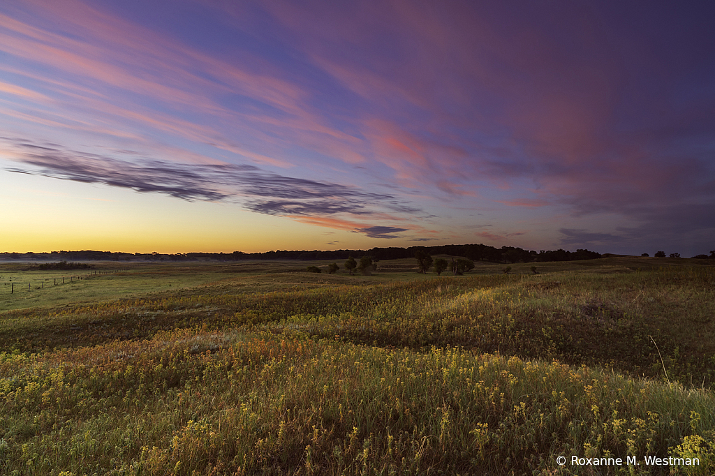 Sheyenne National Grasslands sunrise beauty - ID: 15965751 © Roxanne M. Westman