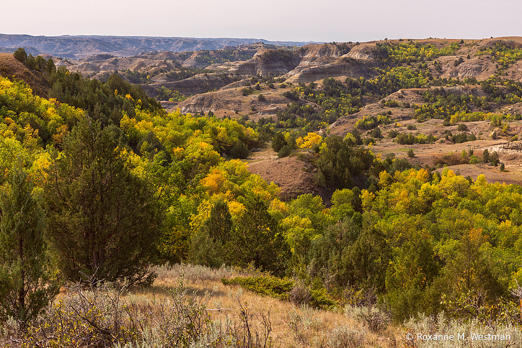 Bennett Creek overlook - ID: 15965755 © Roxanne M. Westman