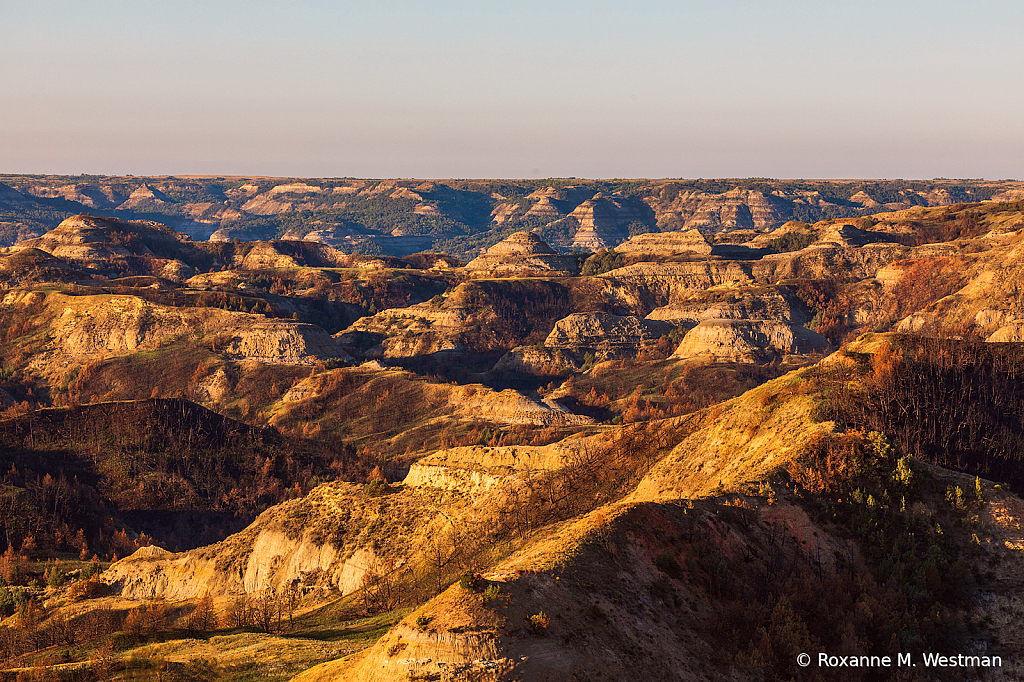 Theodore Roosevelt national park Achenbach hi