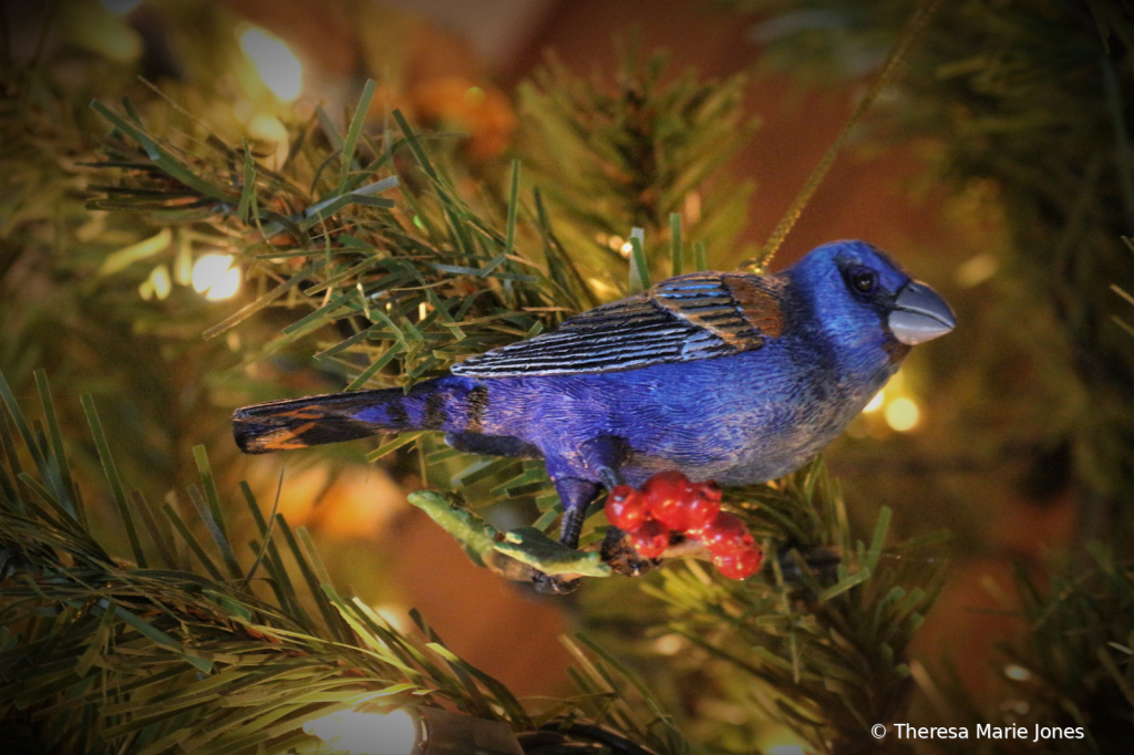 Christmas Bird - ID: 15965651 © Theresa Marie Jones
