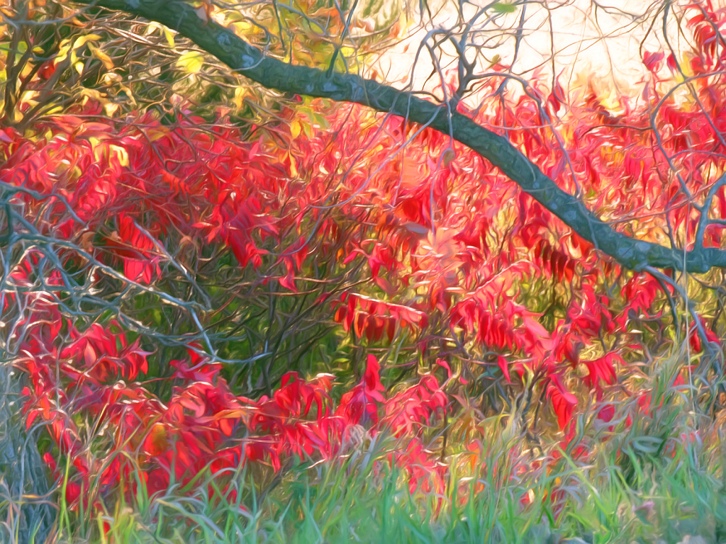 Simply Autumn