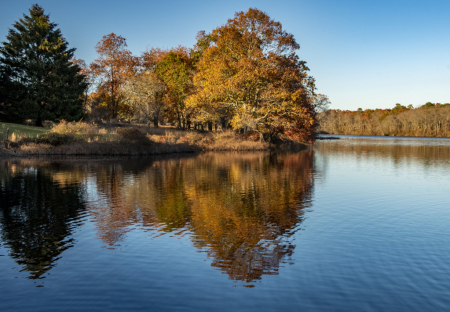 Lake In Autumn