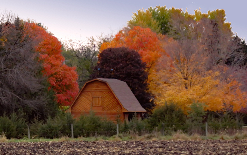 Barn In Fall Colors