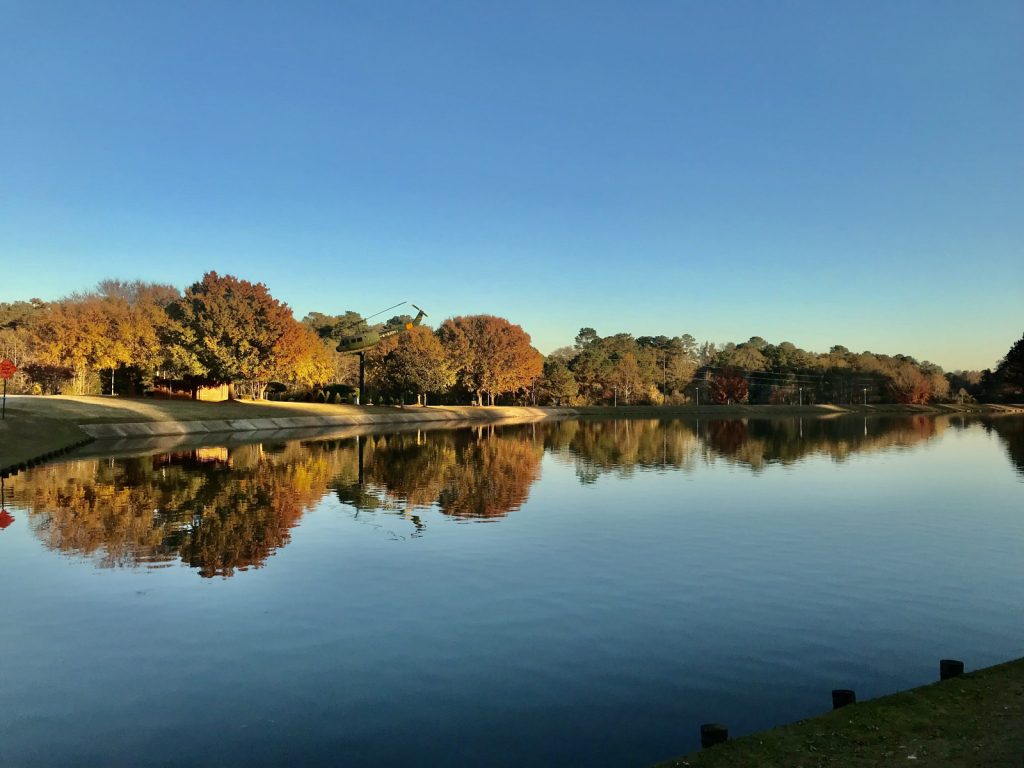 Pond in Fall foliage  - ID: 15965812 © Elizabeth A. Marker