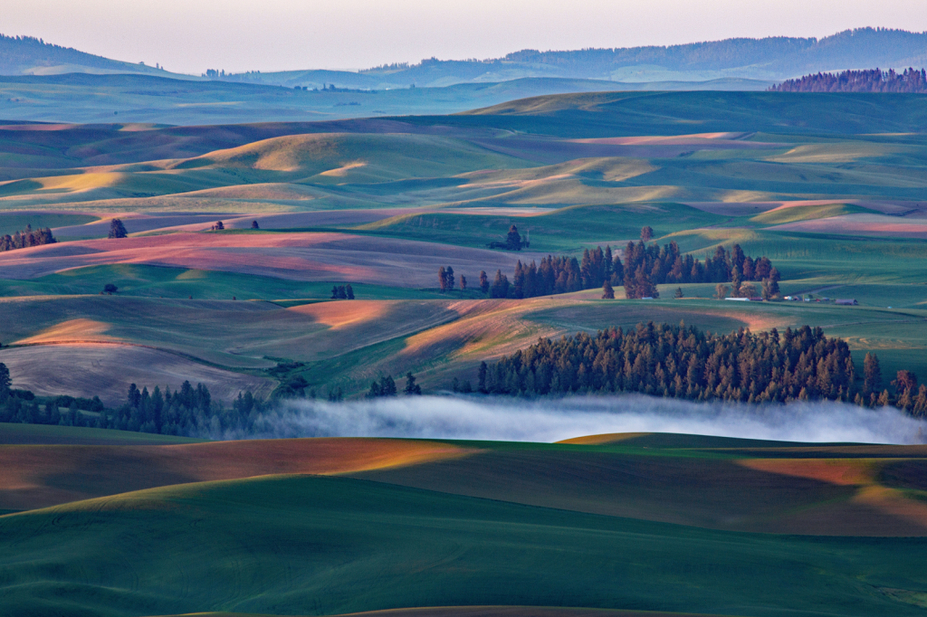 Sunrise in the Palouse