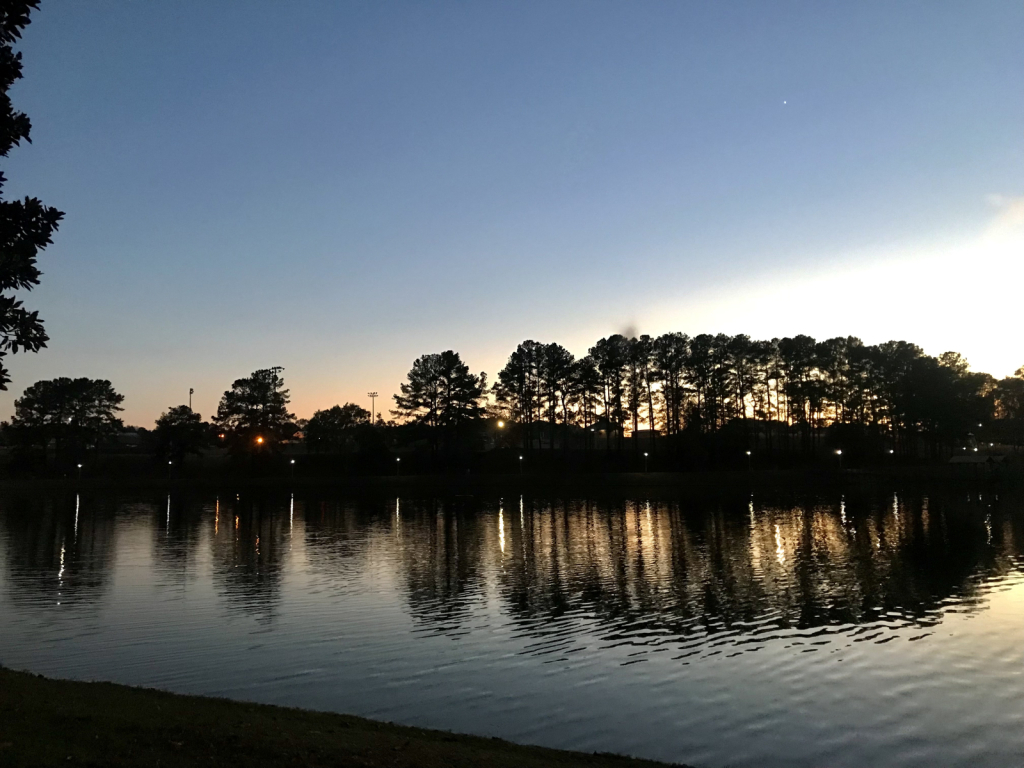 Pond side at sunset - ID: 15965816 © Elizabeth A. Marker
