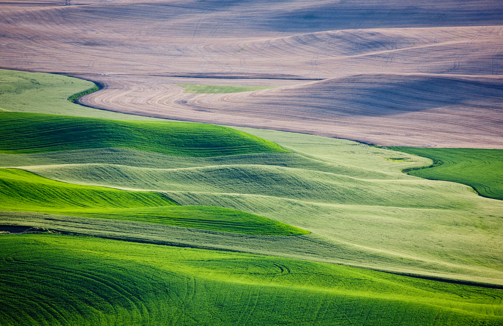Palouse, DS30966 - ID: 15966296 © Larry Adamache