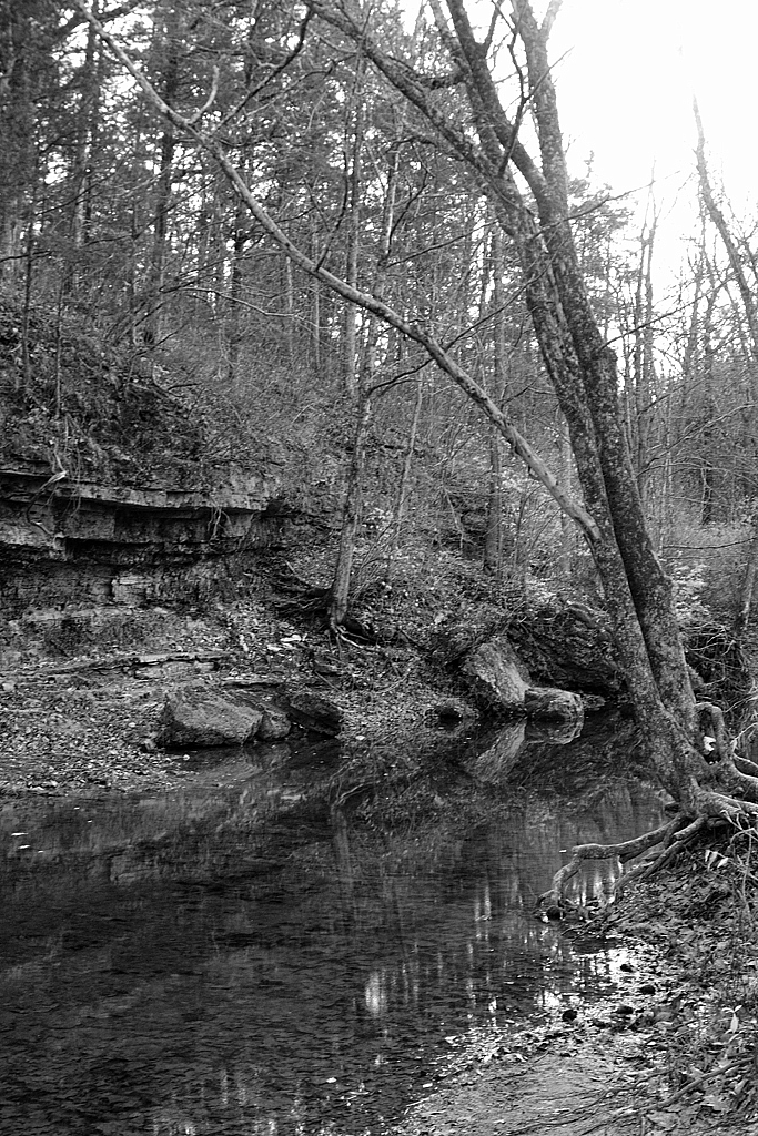 Sandy Creek, Early Winter - ID: 15965837 © Larry Lawhead