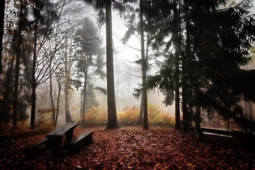 Autumn Bench