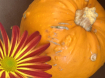 Symbol of Hallowe...