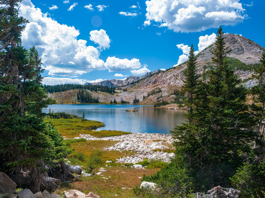 High country in the summer