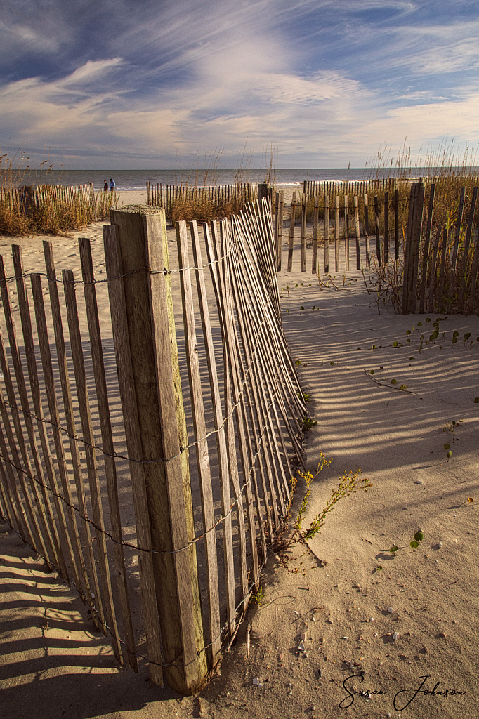 Beach Fences