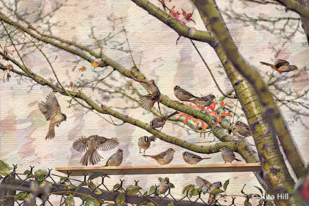 Birds in the Fall