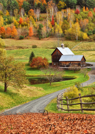 Sleepy Hollow Farm