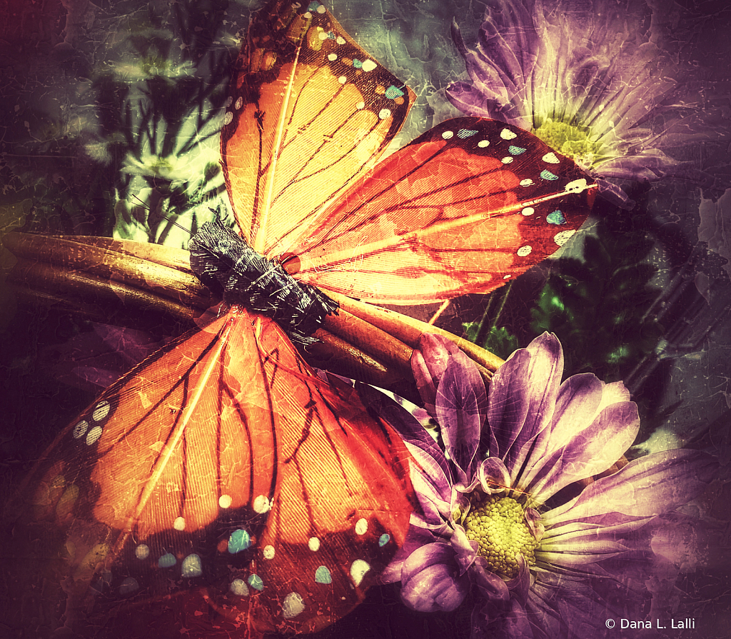 A Butterfly's Life