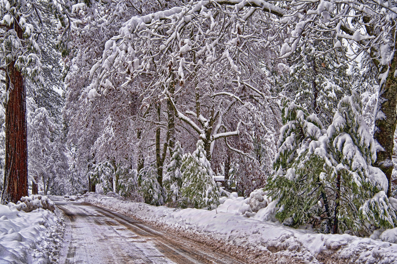 Winter Road - ID: 15968108 © Kelley J. Heffelfinger