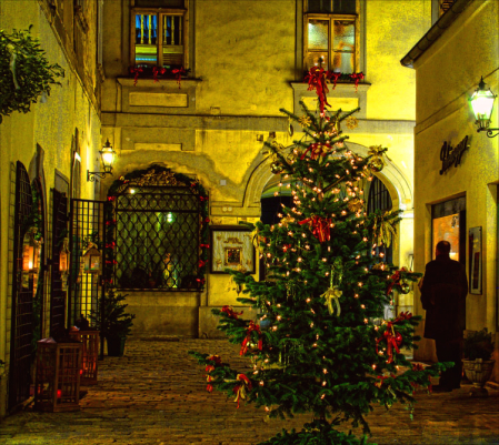 Christmas Tree in an Old Courtyard