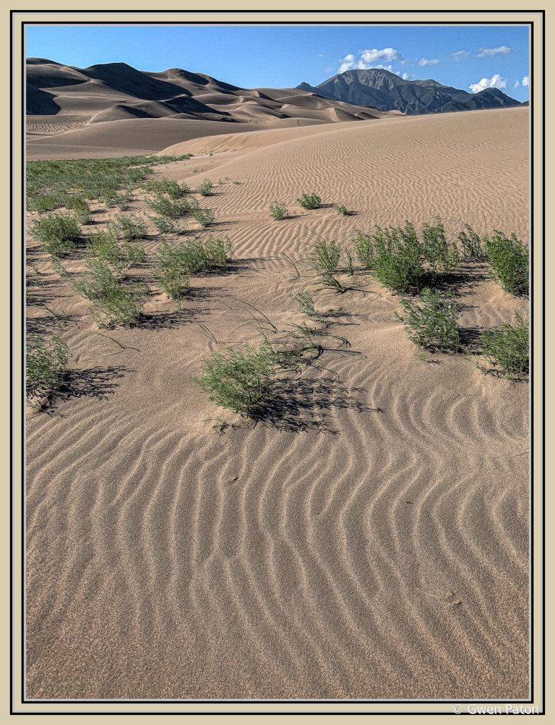 Sand Dunes in Colorado