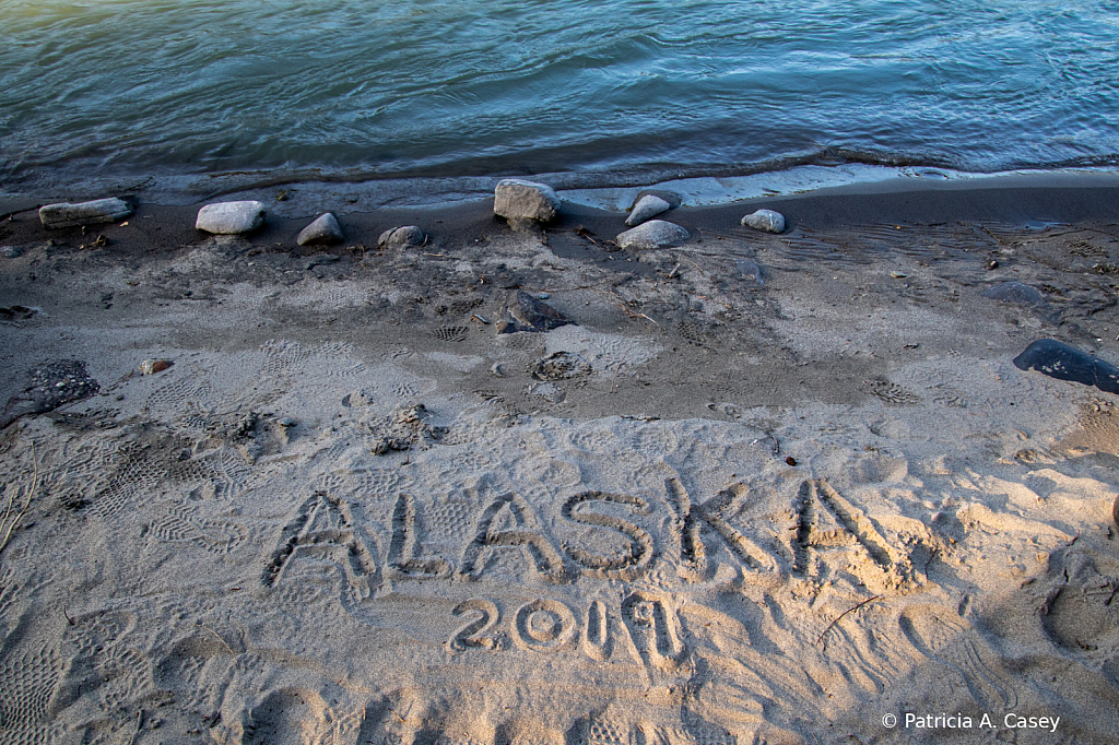 Alaska Sand - ID: 15968434 © Patricia A. Casey