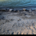 © Patricia A. Casey PhotoID # 15968434: Alaska Sand