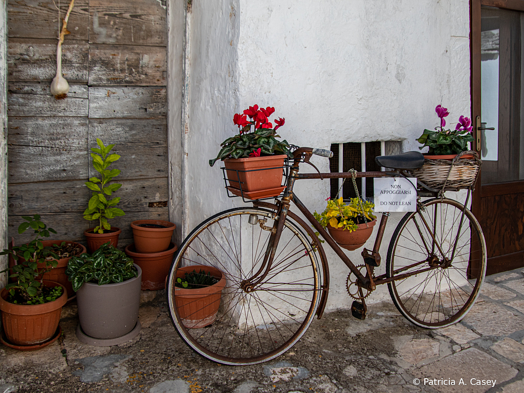 Bicycle Planter - ID: 15968751 © Patricia A. Casey