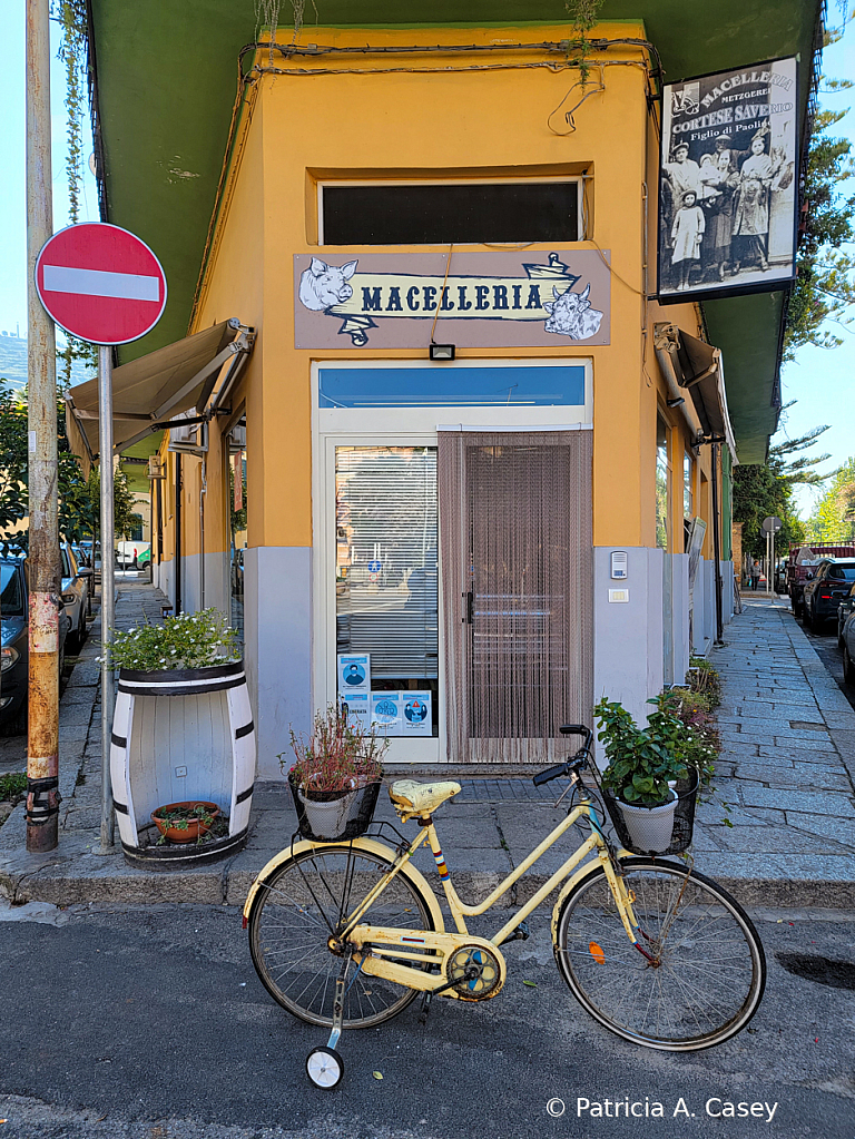 Training Wheels - ID: 15968784 © Patricia A. Casey