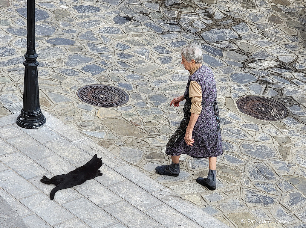 Nonna and the cat - Civita, Italy - ID: 15968783 © Patricia A. Casey