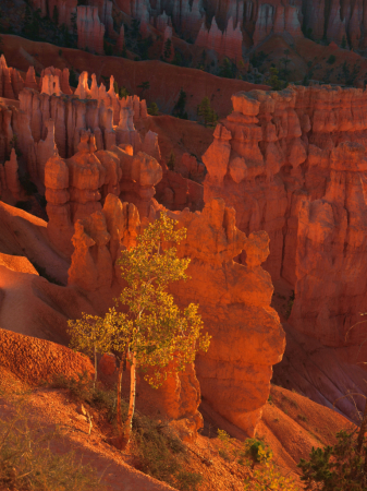 Bryce Canyon