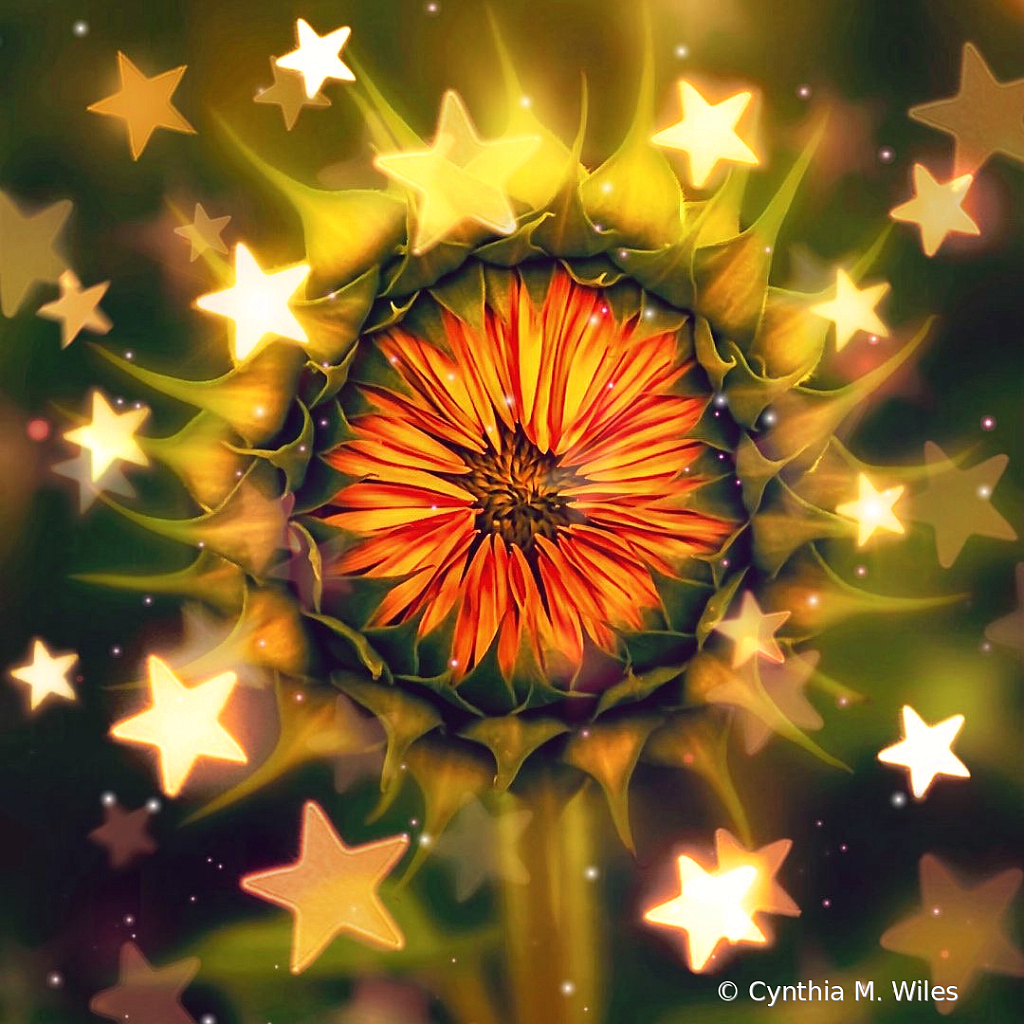 Celestial Celebration. 