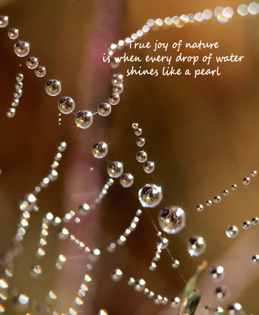 True Joy Of Nature