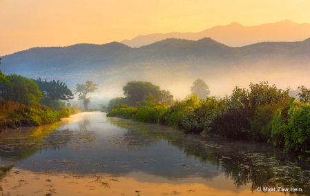 Misty Morning