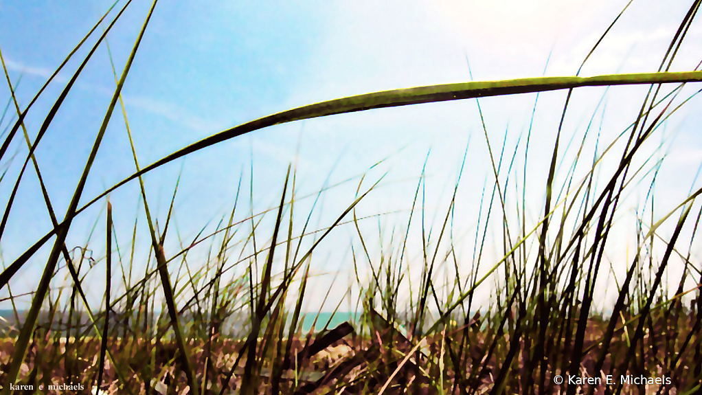 dune grass - ID: 15969887 © Karen E. Michaels