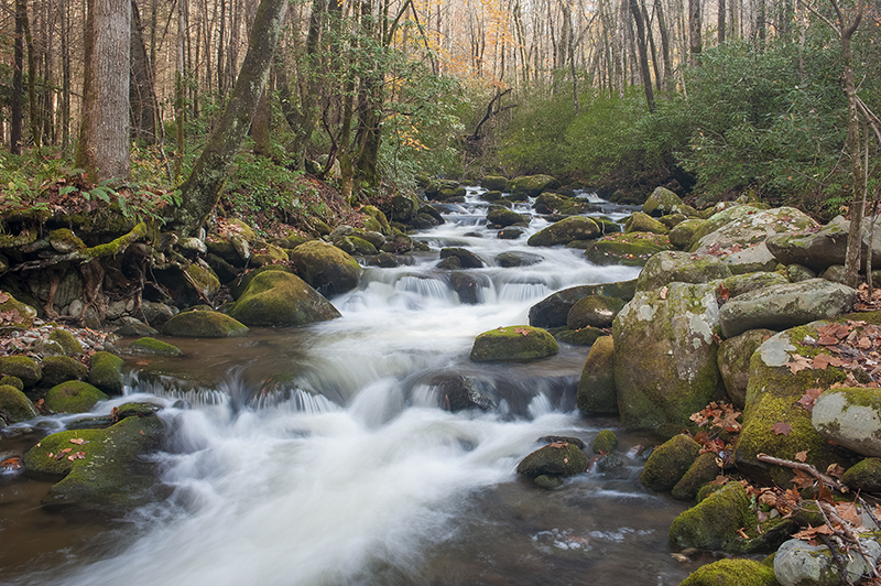 Smoky Mountains Stream 1 - ID: 15969883 © Donald R. Curry