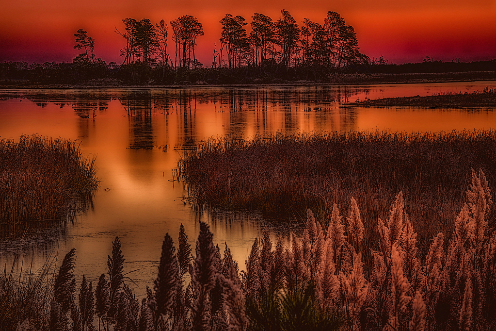 Chincoteague Dawn