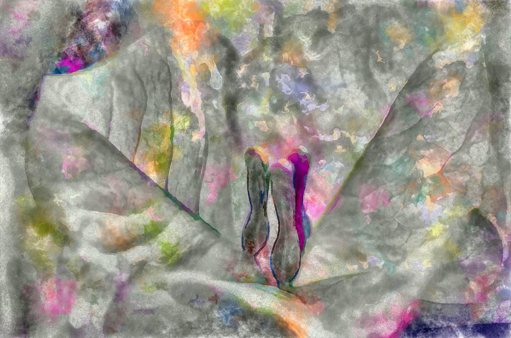 Dreams In a Floral Key - ID: 15876919 © Paul Coco