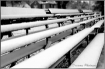 Snowbenches