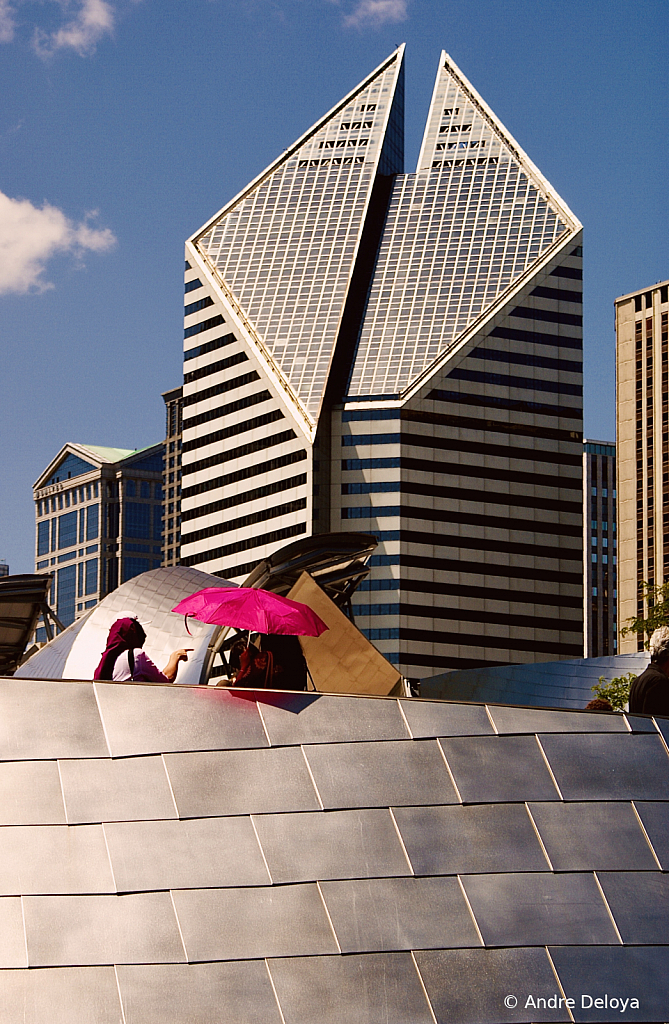 Chicago debate under a Pink Umbrella 