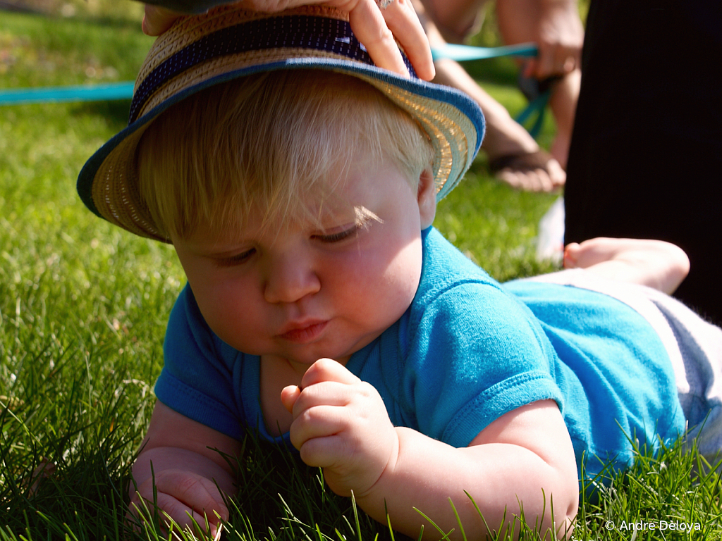 Colby discovering the wonders of grass.