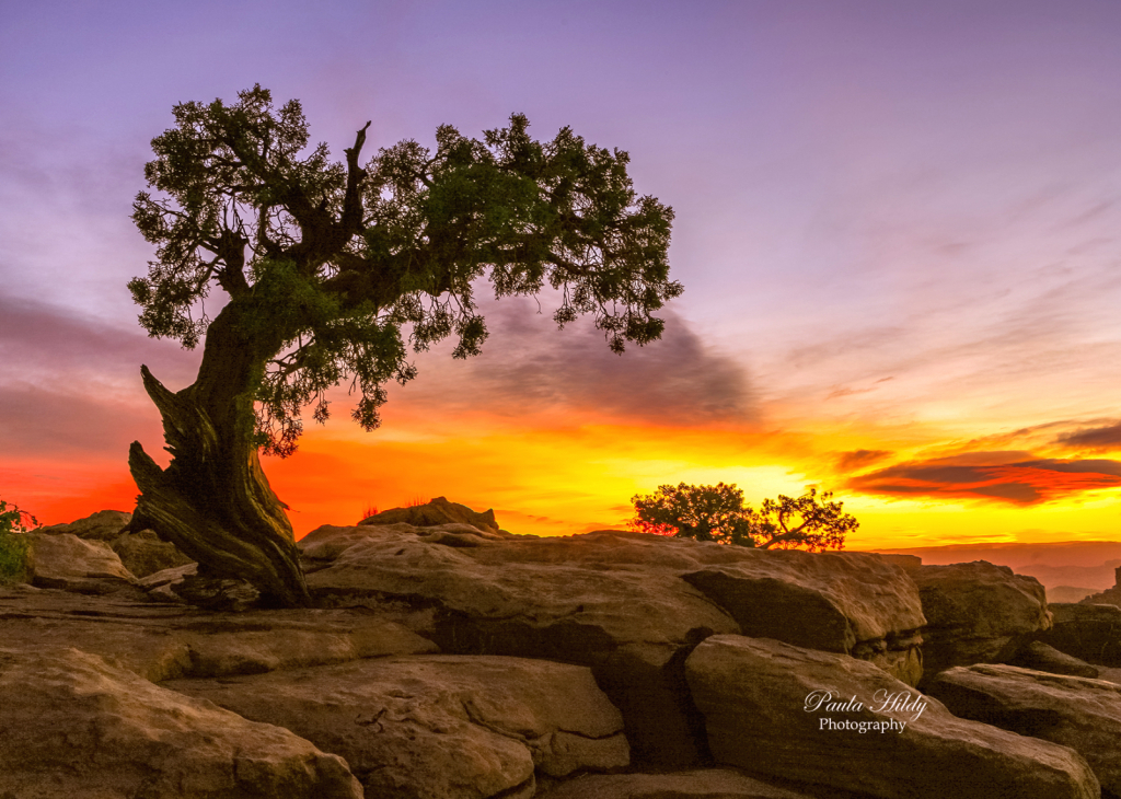 Dead Horse Point, Utah