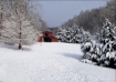 Winter in the Cou...