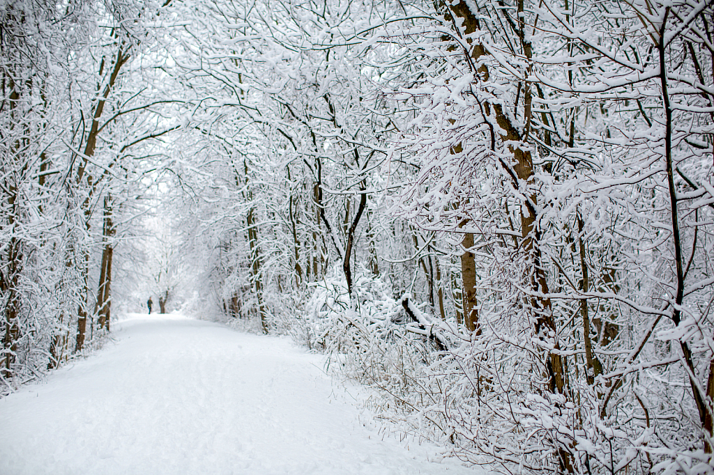 Trails of White