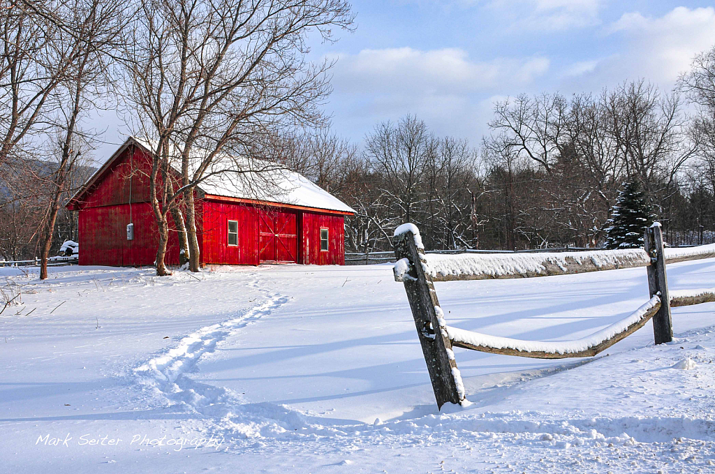 winter path