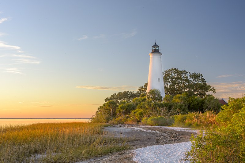 St Marks NWR Lighthouse  - ID: 15973373 © Donald R. Curry