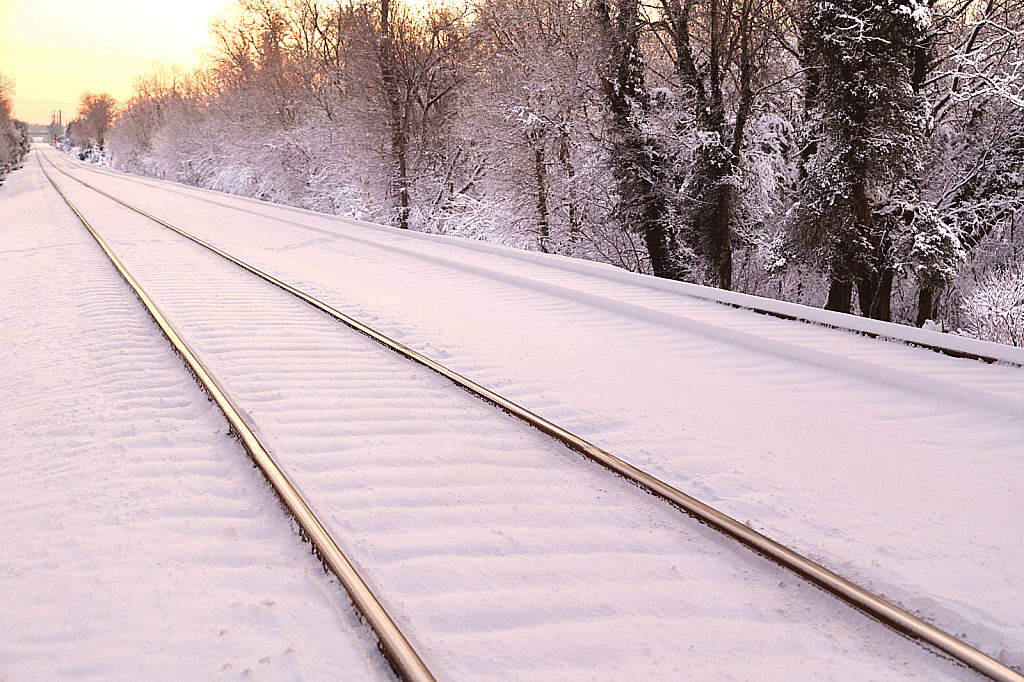 Tracks In The Snow