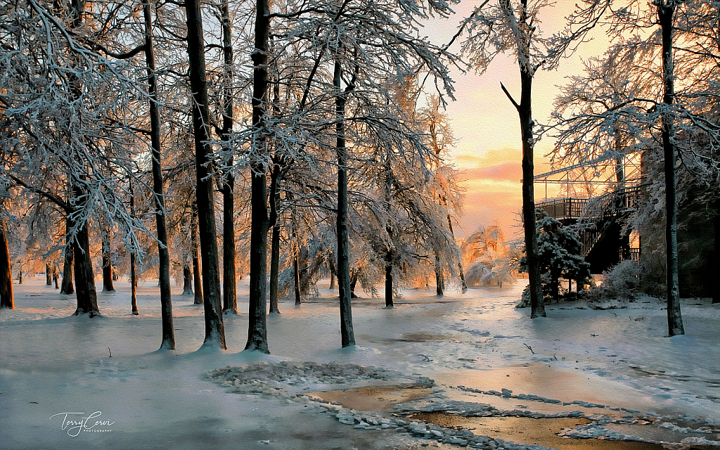 January 2022 Photo Contest Grand Prize Winner - Winter Wonderland