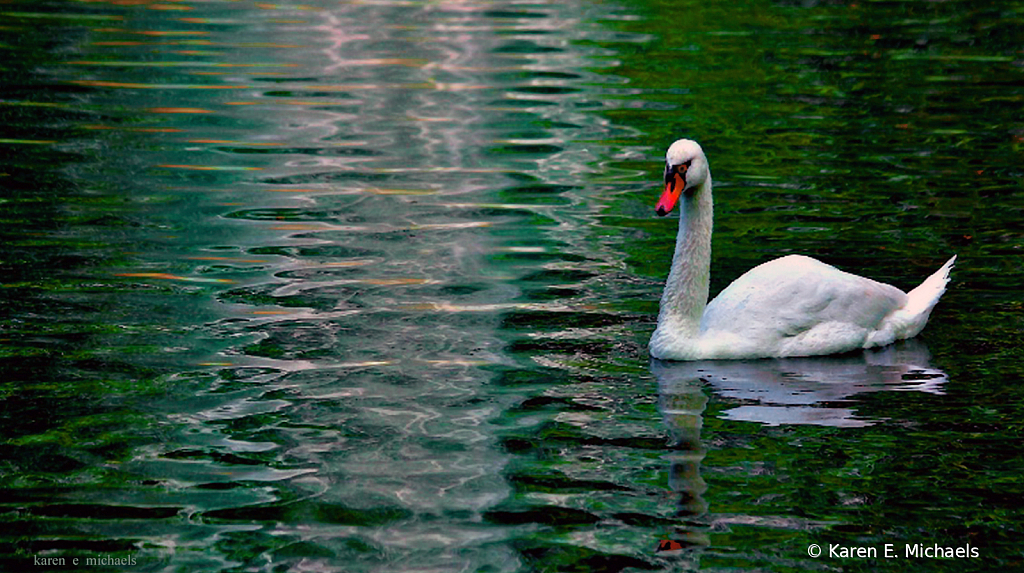 crossing the line - ID: 15973642 © Karen E. Michaels