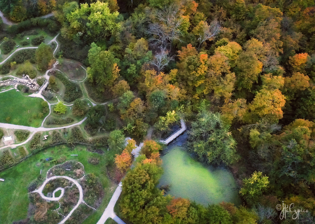 Path and Pond