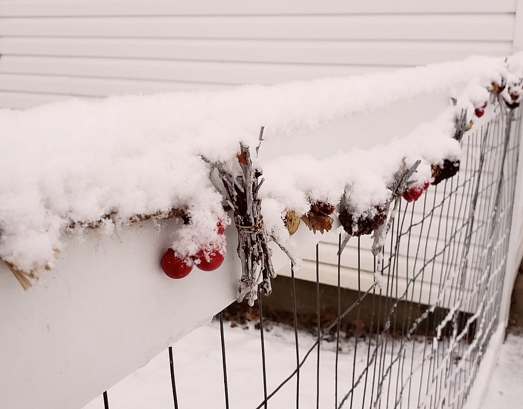 winter fence