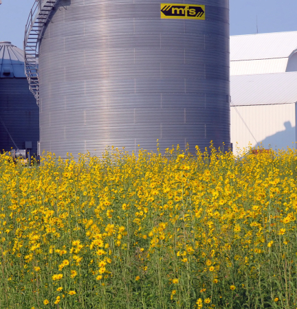 Silos And Sunflowers