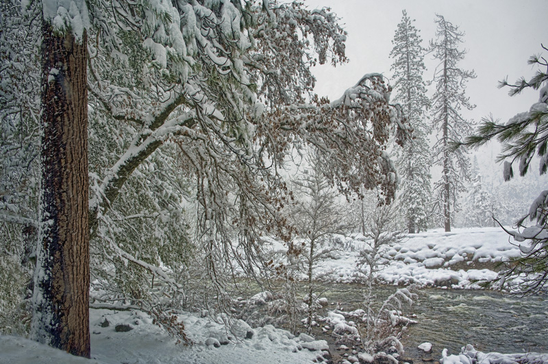 Wintertime at Yosemite - ID: 15974129 © Kelley J. Heffelfinger